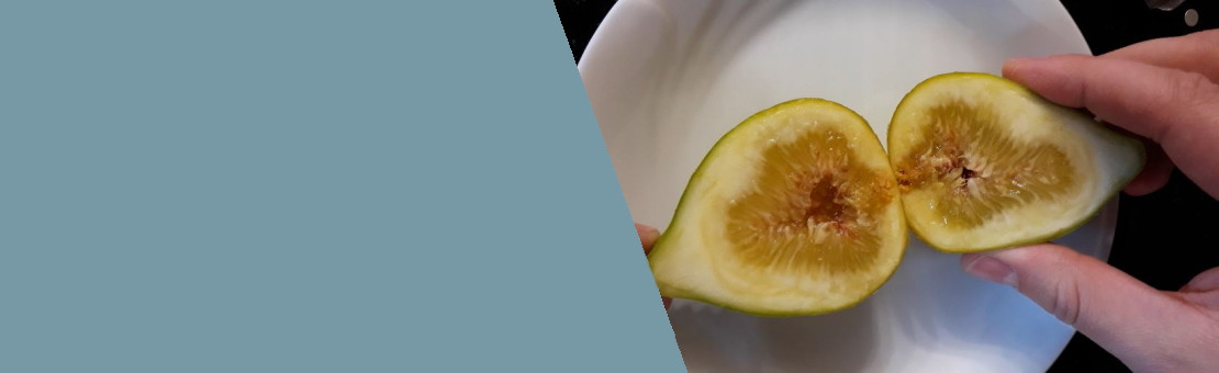 A Long Yellow fig